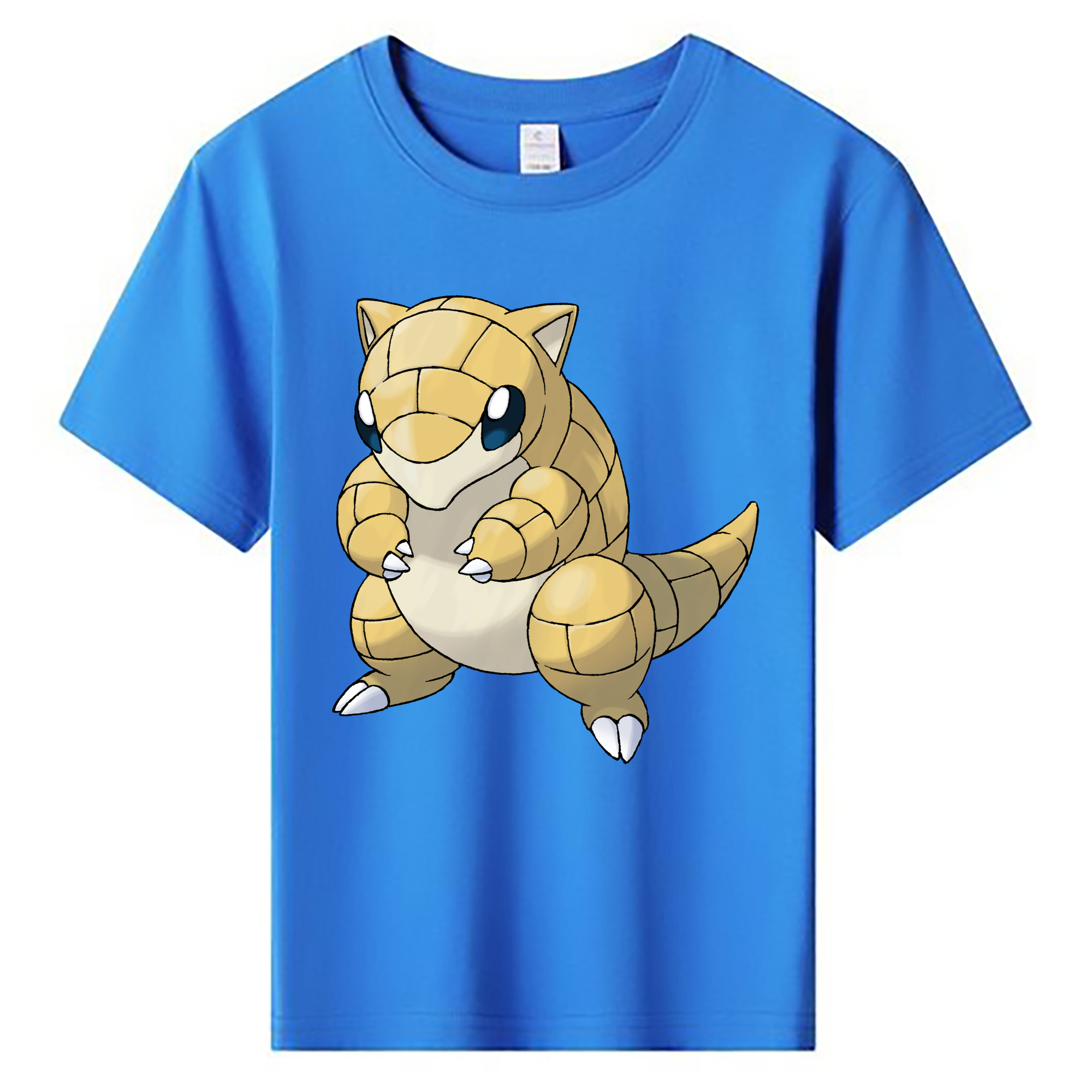 （画像用） ポケットモンスター Pokémon 綿100％キッズTシャツ（フロントプリント）